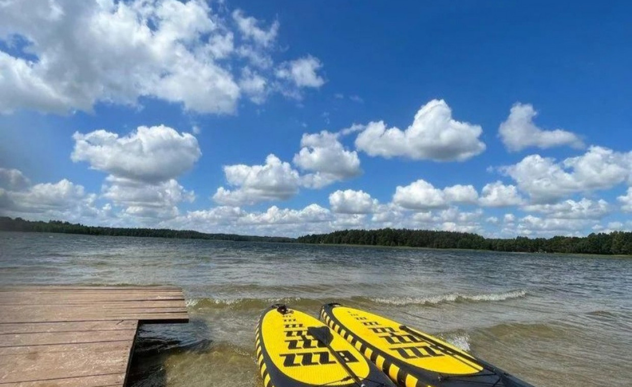 Standup paddleboarding for rent, Irklentė SUP Royal Panda (premium klasė) rent, Klaipėda