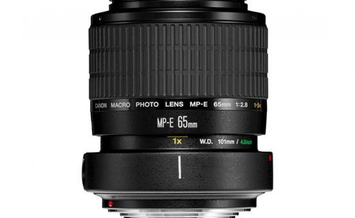 Camera lenses for rent, Canon MP-E 65mm f/2.8 rent, Vilnius