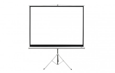 Large projector screen 244cm