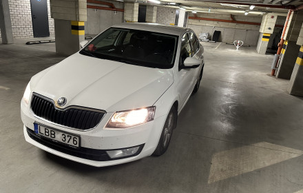 Škoda Octavia 2014 Bolt Pavež. SU BONUSU