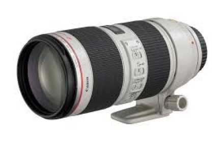 Canon 70-200mm f/2.8L IS USM